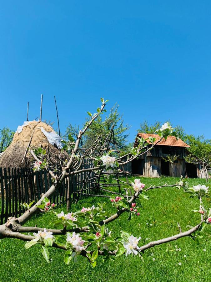 Corbi The Story Garden酒店 外观 照片